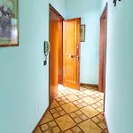 Casa Samari Three شقة *